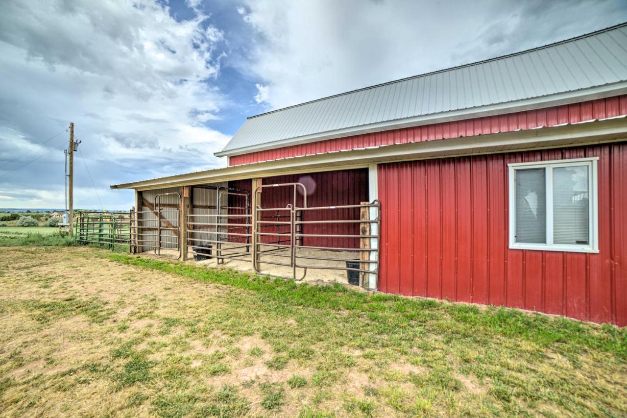 Walkout Apartment With Mtn View On Cortez Ranch 外观 照片